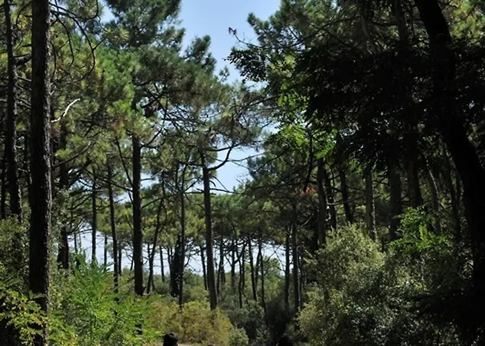 T2 + Mezzanine, Face Mer, Parking Prive, 6 Pers - Fr-1-323-336 * Saint-Hilaire-de-Riez